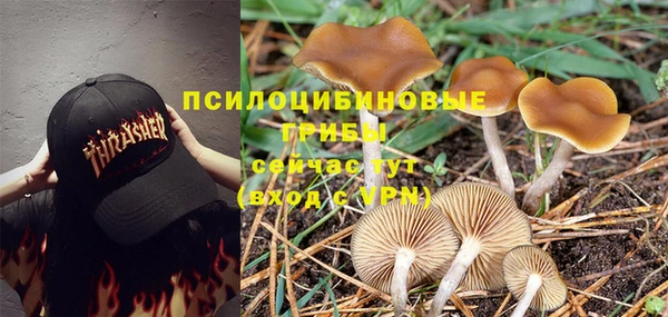 spice Армянск